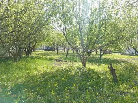 Участок в Белгородская область, Белгородский район, Никольское с/пос, ...