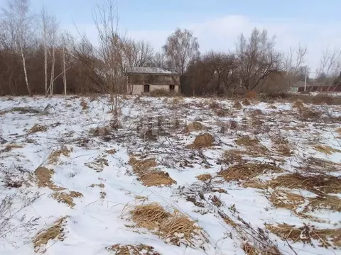 Участок в Брянская область, Брянский район, Мичуринское с/пос, д. ...