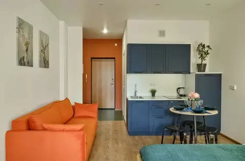 Студия Свердловская область, Екатеринбург ул. Родонитовая, 35 (28.0 м)