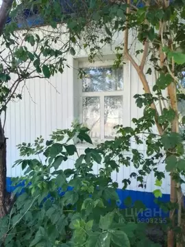 Дом в Белгородская область, Новооскольский муниципальный округ, с. ...