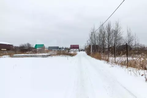 Участок в Тюменская область, Тюмень Якорь садовое товарищество, ул. ...