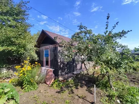 Дом в Омская область, Омск СОСН Лесовод тер.,  (24 м)