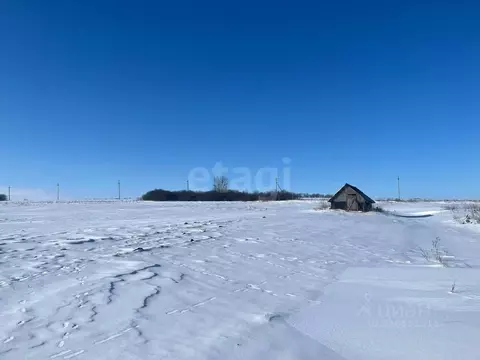 Участок в Белгородская область, Прохоровский район, с. Коломыцево  ...