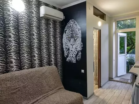 Студия Крым, Евпатория ул. Ясельная, 16 (14.0 м)