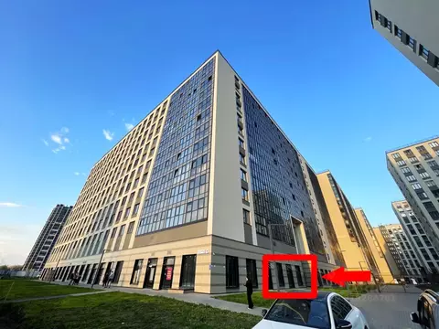 Помещение свободного назначения в Санкт-Петербург аллея Арцеуловская, ...