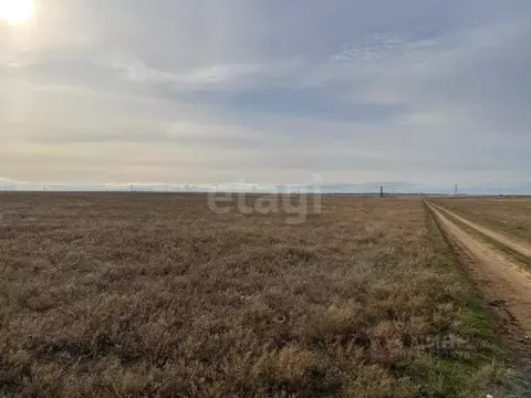 Участок в Крым, Сакский район, Штормовское с/пос, с. Приветное  (6.0 ...