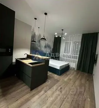 Студия Тюменская область, Тюмень ул. Сергея Свиридова, 7 (27.0 м)