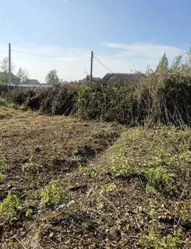 Участок в Санкт-Петербург пос. Александровская, пер. Рехколовский ...