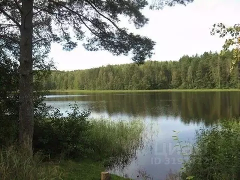 Участок в Тверская область, Западнодвинский район, д. Глубокое  ...