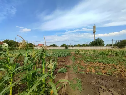 Участок в Краснодарский край, Краснодар Копанской хут., ул. Березовая, ...
