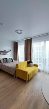 Студия Москва Очаковское ш., 5к1 (27.2 м)