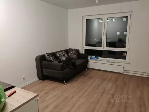 Студия Московская область, Одинцово ул. Каштановая, 9 (24.0 м)