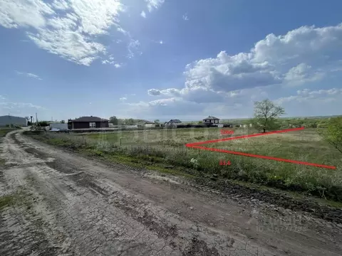 Участок в Воронежская область, Рамонский район, с. Новоживотинное ул. ...