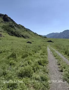 Участок в Алтай, Чемальский район, Чемальское с/пос  (25.0 сот.)