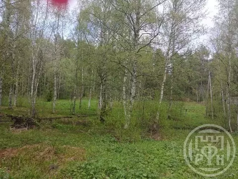 Участок в Ленинградская область, Приозерское городское поселение, пос. ...