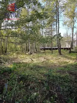 Участок в Московская область, Раменский муниципальный округ, д. ...