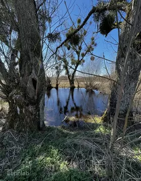 Участок в Калининградская область, Багратионовский муниципальный ...