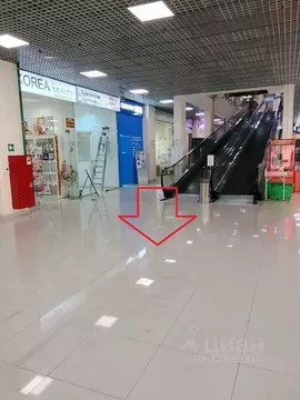 Торговая площадь в Москва Куликовская ул., 6 (6 м)