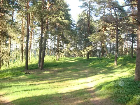 Участок в Псковская область, Печоры Пионерская ул. (15.0 сот.)