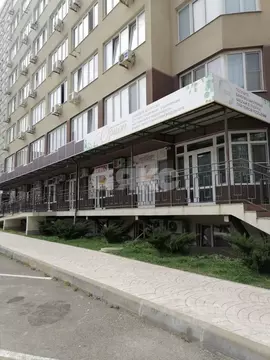 Помещение свободного назначения в Краснодарский край, Анапа ...
