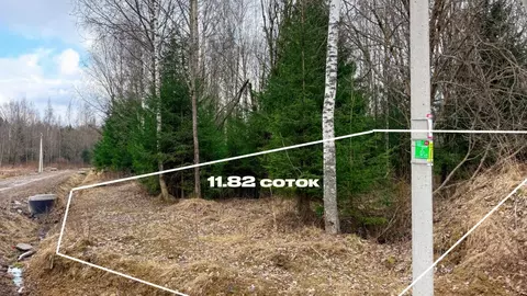 Участок в Ленинградская область, Ломоносовский район, Пениковское ...