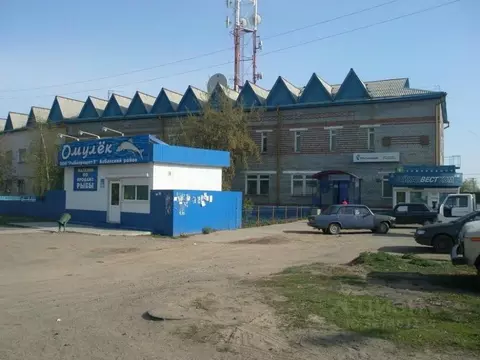 Офис в Бурятия, Кабанский район, с. Кабанск Октябрьская ул., 2 (16 м)