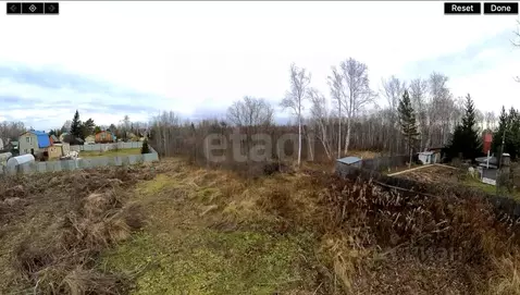 Участок в Тюменская область, Тюменский муниципальный округ, Лесник-2 ...