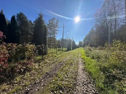 Участок в Псковская область, Гдовский район, Добручинская волость, д. ...
