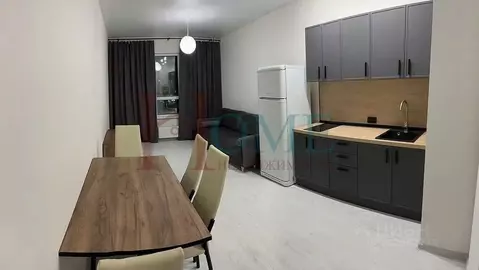 1-к кв. Новосибирская область, Новосибирск ул. Ясный Берег, 33 (50.0 ...