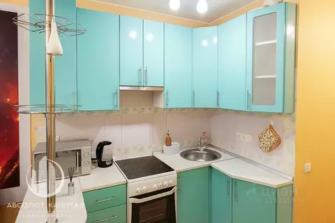 Студия Московская область, Ивантеевка Пушкинский городской округ, ...