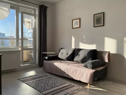 Студия Санкт-Петербург ул. Струве, 12к1 (24.4 м)