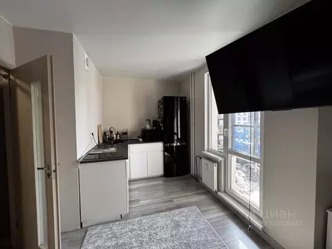 Студия Санкт-Петербург бул. Вилькицкий, 6 (29.0 м)