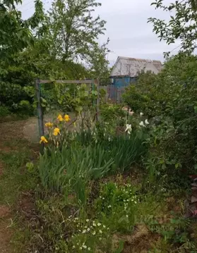 Участок в Астраханская область, Володарский район, Трикотажник-2 ...