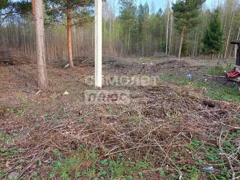 Участок в Вологодская область, Камыш садоводческое товарищество  (12.0 ...