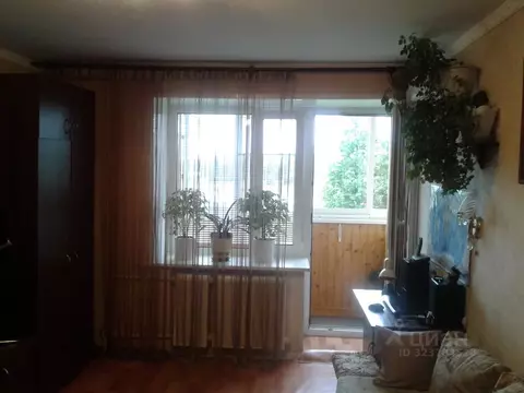 1-к кв. Московская область, Кашира Ожерелье мкр, ул. Ленина, 5/1 (29.5 ...