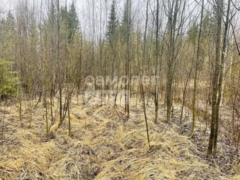 Участок в Коми, Сыктывдинский муниципальный район, Выльгорт ...