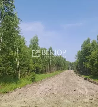 Участок в Ивановская область, Лежневское с/пос, д. Мальчиха  (10.0 ...