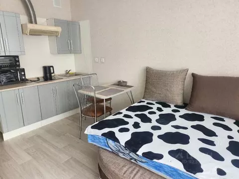 Студия Калининградская область, Калининград Батальная ул., 98 (22.0 м)