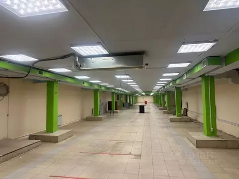 Помещение свободного назначения в Татарстан, Набережные Челны просп. ...