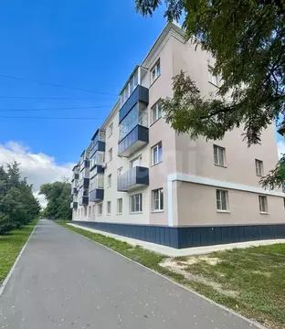 3-к кв. Тамбовская область, Тамбов Мичуринская ул., 125 (54.0 м)