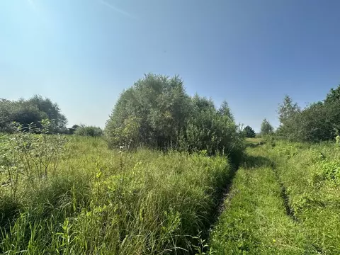 Участок в Московская область, Луховицы муниципальный округ, Белоомут ...