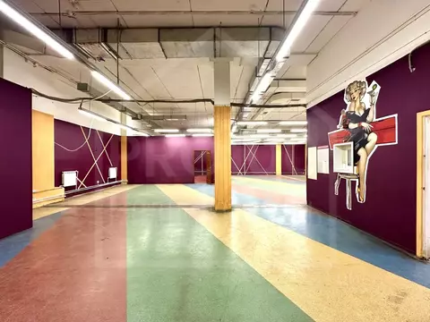 Помещение свободного назначения в Омская область, Омск ул. Степанца, ...