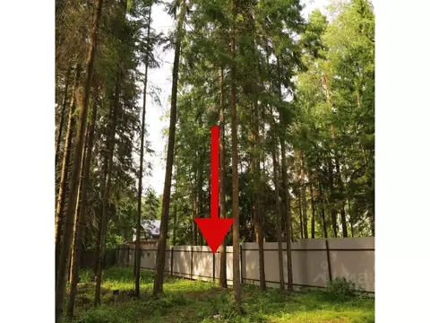 Участок в Московская область, Ступино городской округ, с. Ивановское  ...