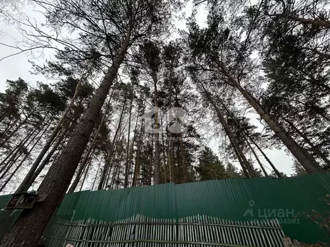 Дом в Новосибирская область, Новосибирск Старое ш., 140А (28 м)