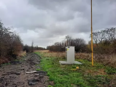 Участок в Калининградская область, Гурьевский муниципальный округ, ...