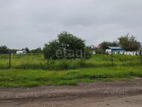 Участок в Саратовская область, Балашовский район, Хоперское ...