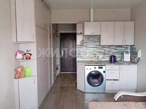 1-к кв. Алтайский край, Барнаул ул. 4-я Западная, 27 (17.3 м)