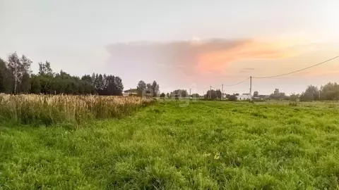 Участок в Ярославская область, Ярославский муниципальный округ, д. ...