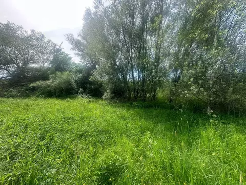 Участок в Московская область, Богородский городской округ, д. ...