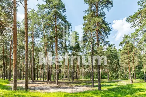 Продается участок в КП Лесные зори